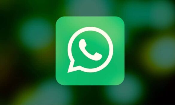 Pourquoi message pas distribué sur WhatsApp ?
