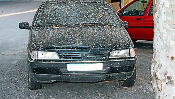 Quand activer le mode éco voiture ?