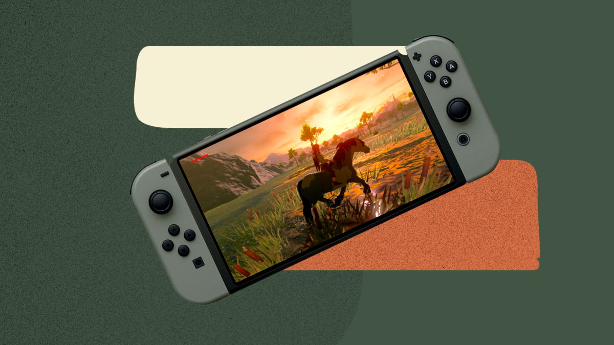 Quand est sortie la switch en France ?