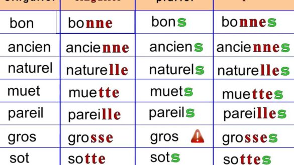 Quel est le nom de l'adjectif net ?