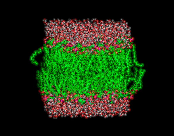 Quel est le rôle de l'HADOPI ?