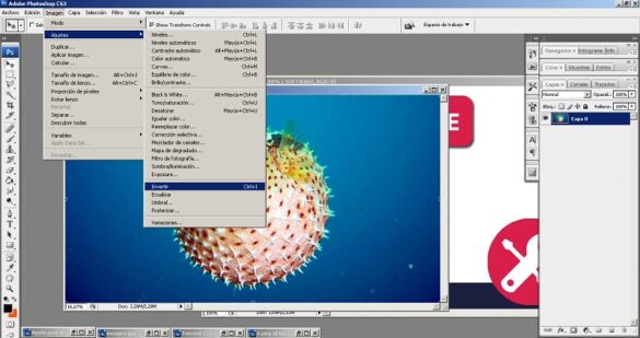 Quel est l'équivalent de Photoshop ?