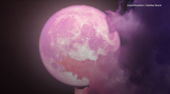 Quel heure la lune rose ?