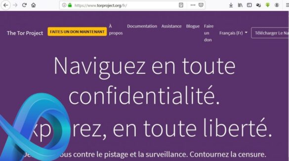 Quel moteur de recherche utiliser sur Tor ?