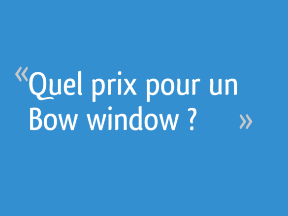 Quel prix pour Windows 11 ?