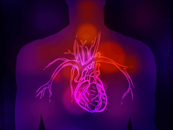 Quels sont les signes Avant-coureur de la mort ?