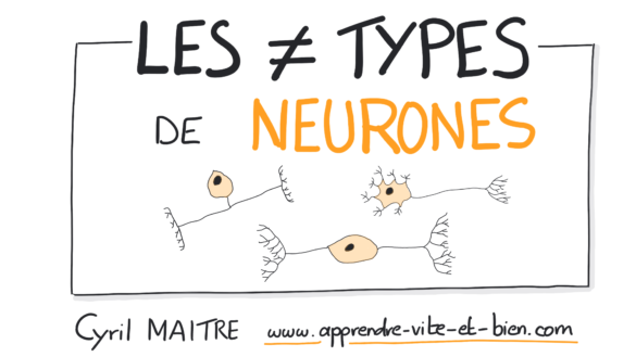 Quels sont les types de questionnaires ?