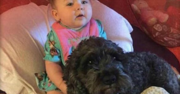 Qui donne sa vie pour protéger bébé Yoda ?