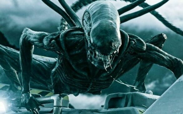 Qui gagne entre Predator et Alien ?