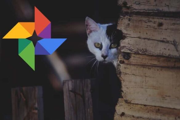 Qui peut voir Google photo ?