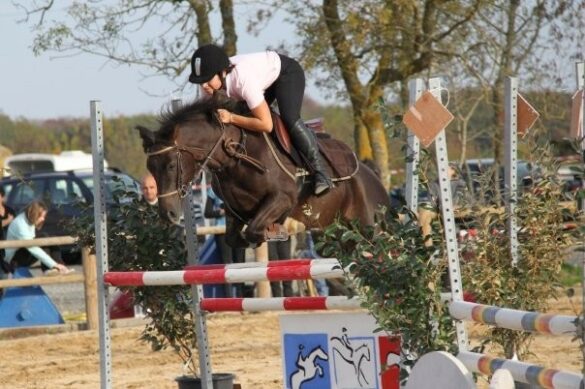 Qui saute le plus haut ?