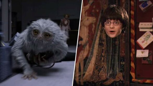 Qui sont les animaux dans Harry Potter ?