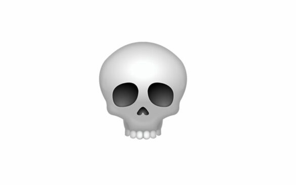 What does the long skull mean?