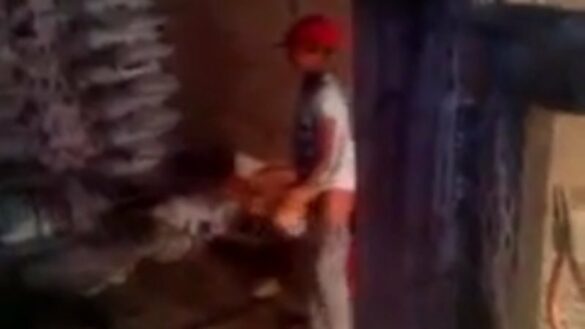 Who is behind upday?