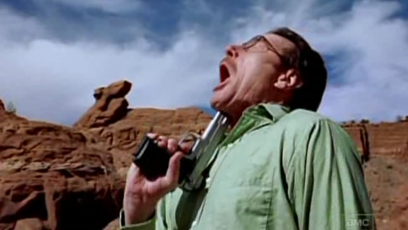 Who kills Walter White?